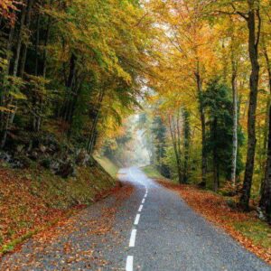 دانلود آهنگ امشب چه زیبا شدهای لایق تنها شدهای دانلود آهنگ امشب چه زیبا شدهای لایق تنها شدهای
